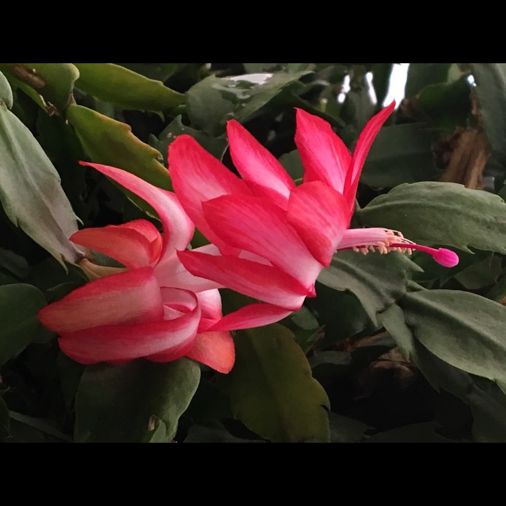 Meet your Posher, Mc